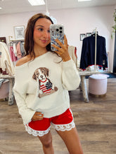 Load image into Gallery viewer, Yankee Doodle Pup Sweater
